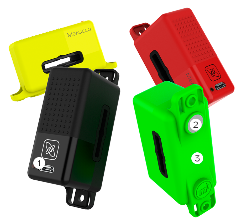 датчик Мелисса