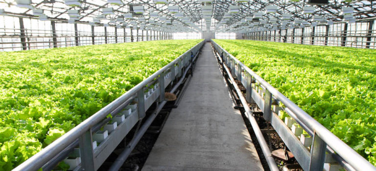 Распределительное устройство